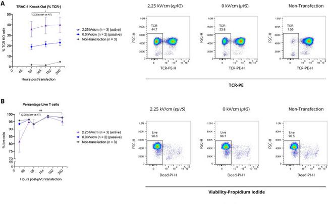 CD3 Antibody in Flow Cytometry (Flow)