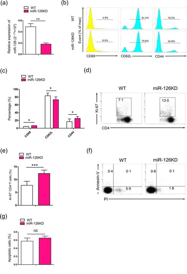 CD69 Antibody in Flow Cytometry (Flow)