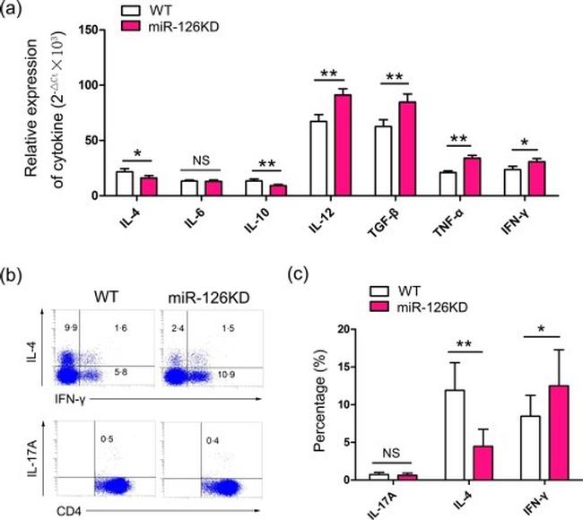 IL-17A Antibody in Flow Cytometry (Flow)