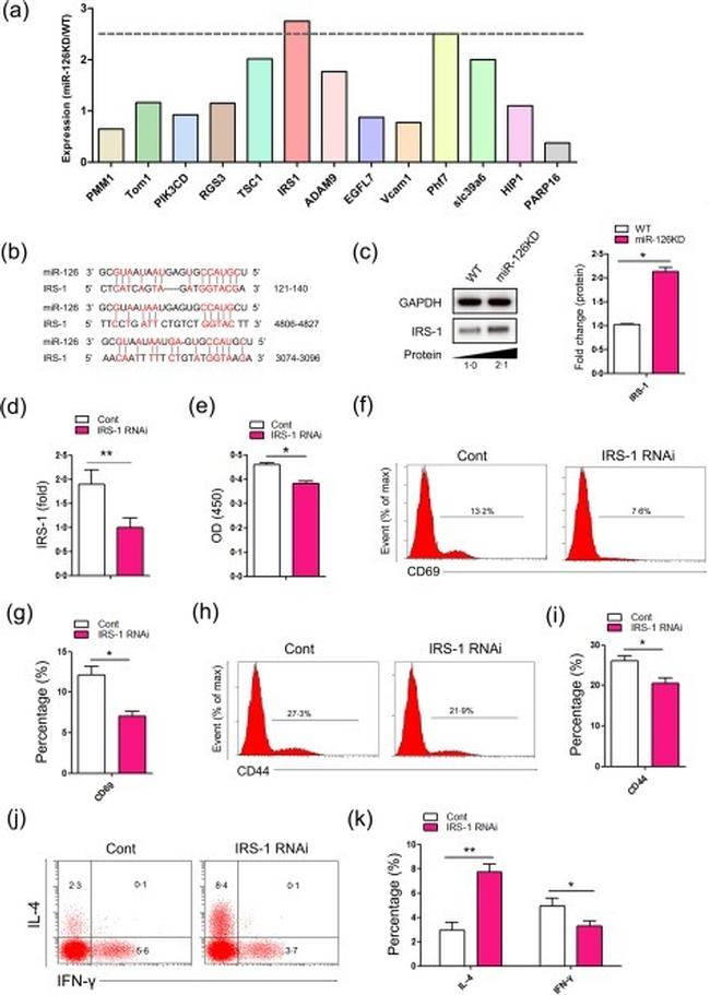 CD69 Antibody in Flow Cytometry (Flow)