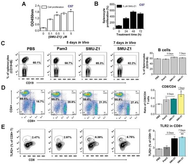 CD4 Antibody in Flow Cytometry (Flow)