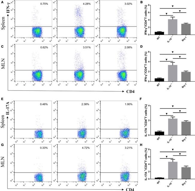 CD4 Antibody in Flow Cytometry (Flow)