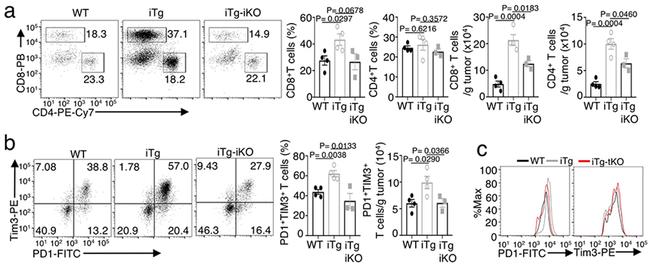 CD4 Antibody in Flow Cytometry (Flow)