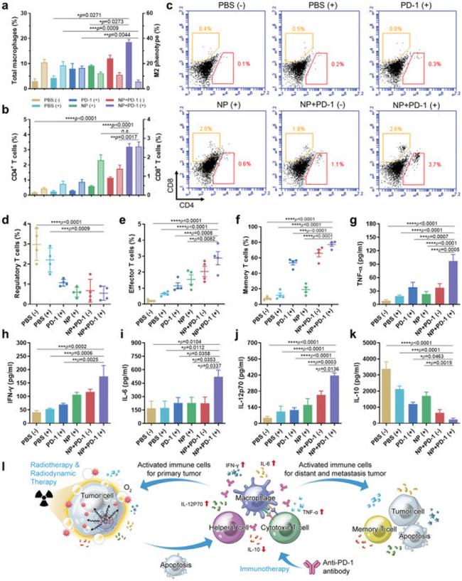 CD4 Antibody in Flow Cytometry (Flow)