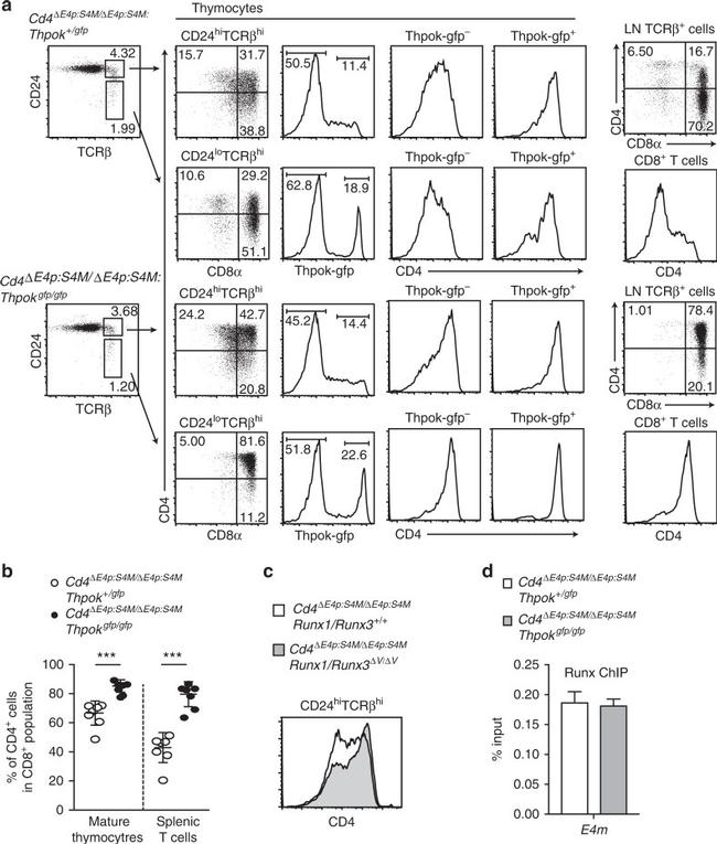 CD4 Antibody in Flow Cytometry (Flow)