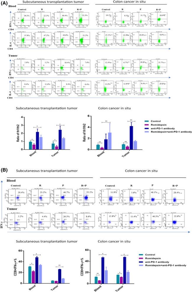 CD4 Antibody in Flow Cytometry (Flow)