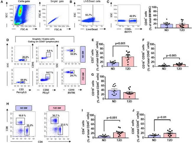 CD4 Antibody in Flow Cytometry (Flow)