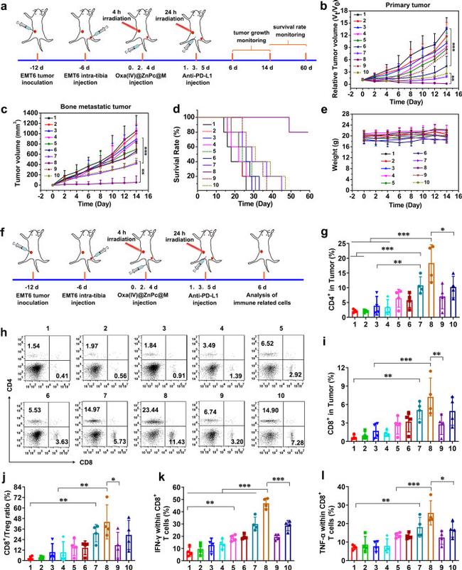 CD4 Antibody in Flow Cytometry (Flow)