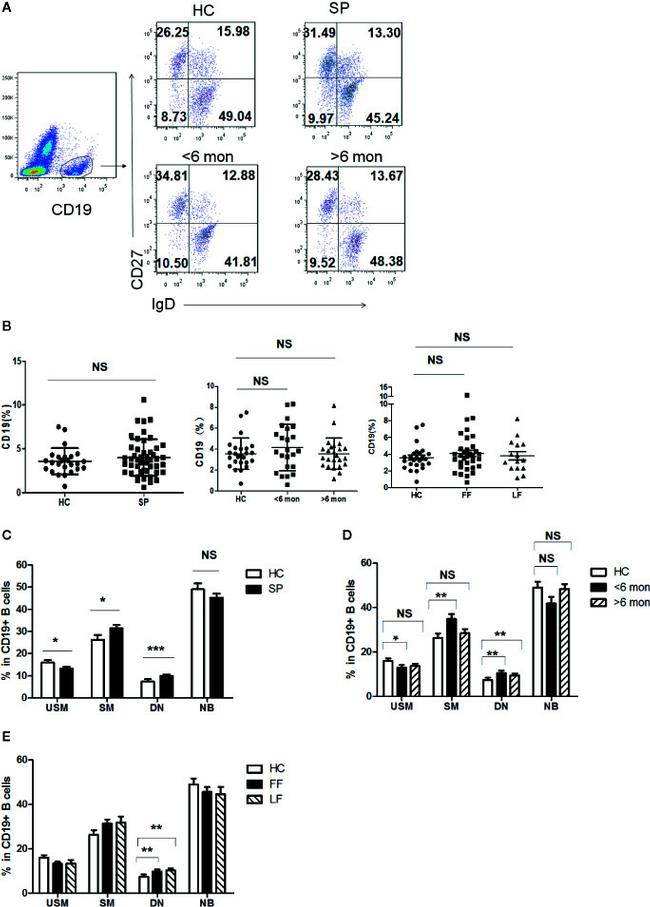 CD27 Antibody in Flow Cytometry (Flow)