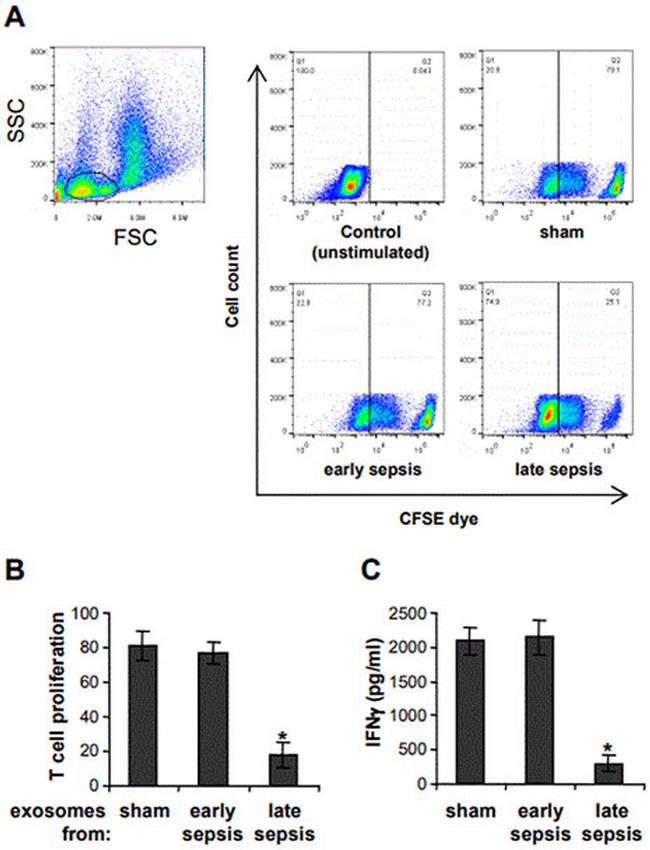 Ly-6G/Ly-6C Antibody in Flow Cytometry (Flow)