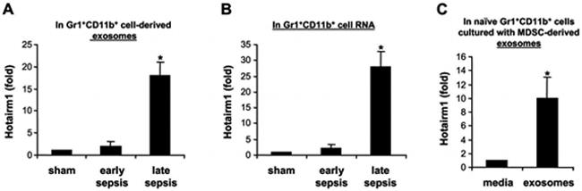 Ly-6G/Ly-6C Antibody in Flow Cytometry (Flow)