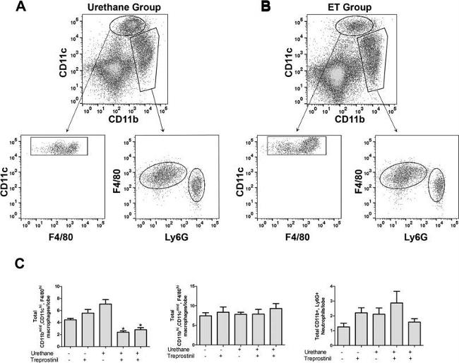 CD11c Antibody in Flow Cytometry (Flow)