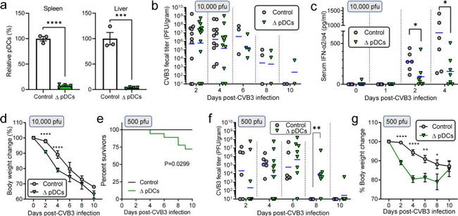 CD11c Antibody in Flow Cytometry (Flow)