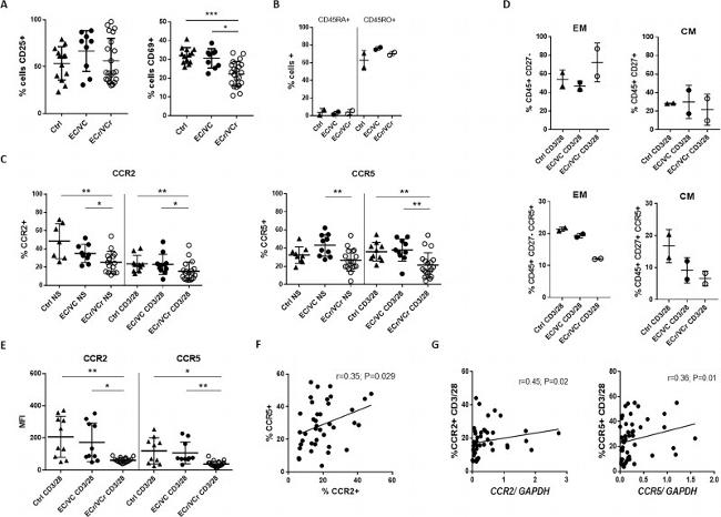 CD25 Antibody in Flow Cytometry (Flow)