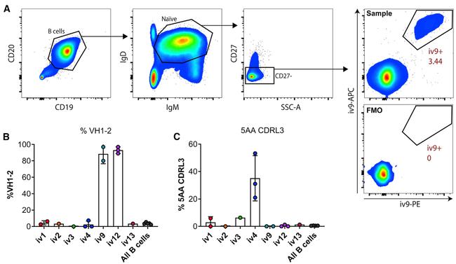 CD27 Antibody in Flow Cytometry (Flow)