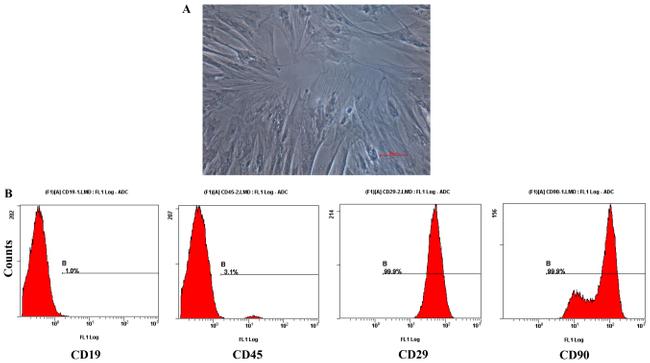 CD29 (Integrin beta 1) Antibody in Flow Cytometry (Flow)