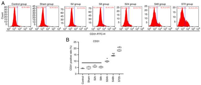 CD31 (PECAM-1) Antibody in Flow Cytometry (Flow)