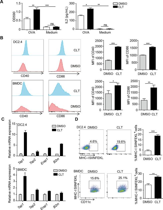 CD86 (B7-2) Antibody in Flow Cytometry (Flow)