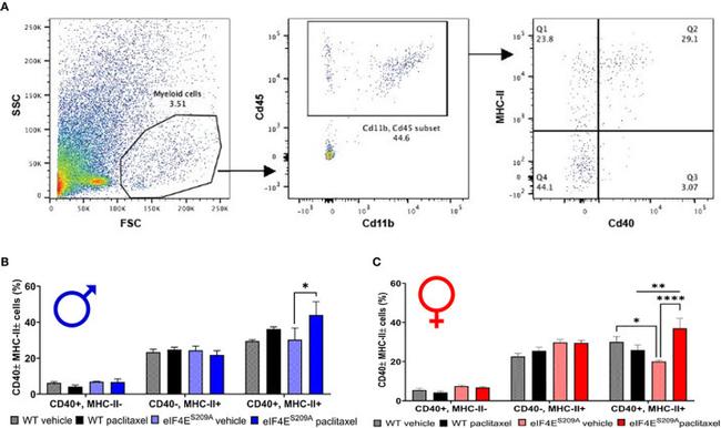 CD40 Antibody in Flow Cytometry (Flow)