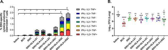 CD44 Antibody in Flow Cytometry (Flow)