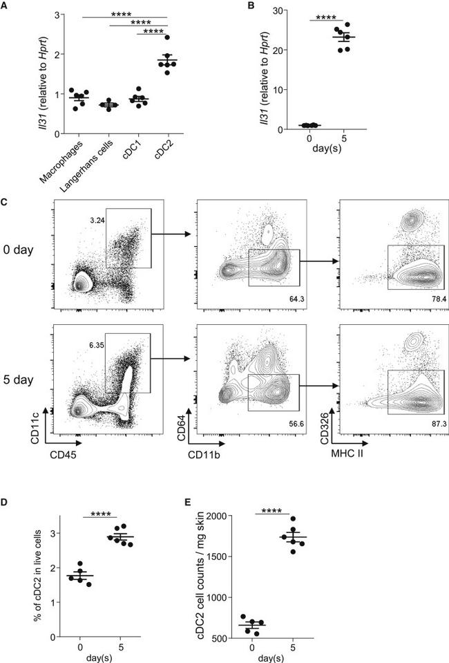 CD45 Antibody in Flow Cytometry (Flow)