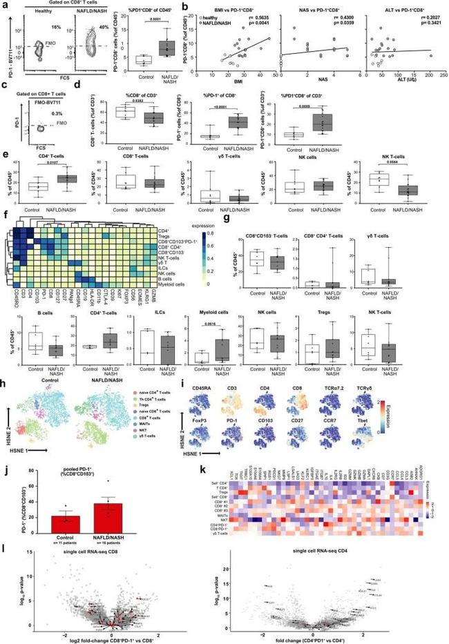 CD45 Antibody in Flow Cytometry (Flow)