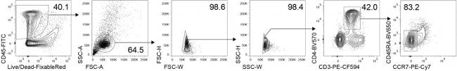 CD45 Antibody in Flow Cytometry (Flow)