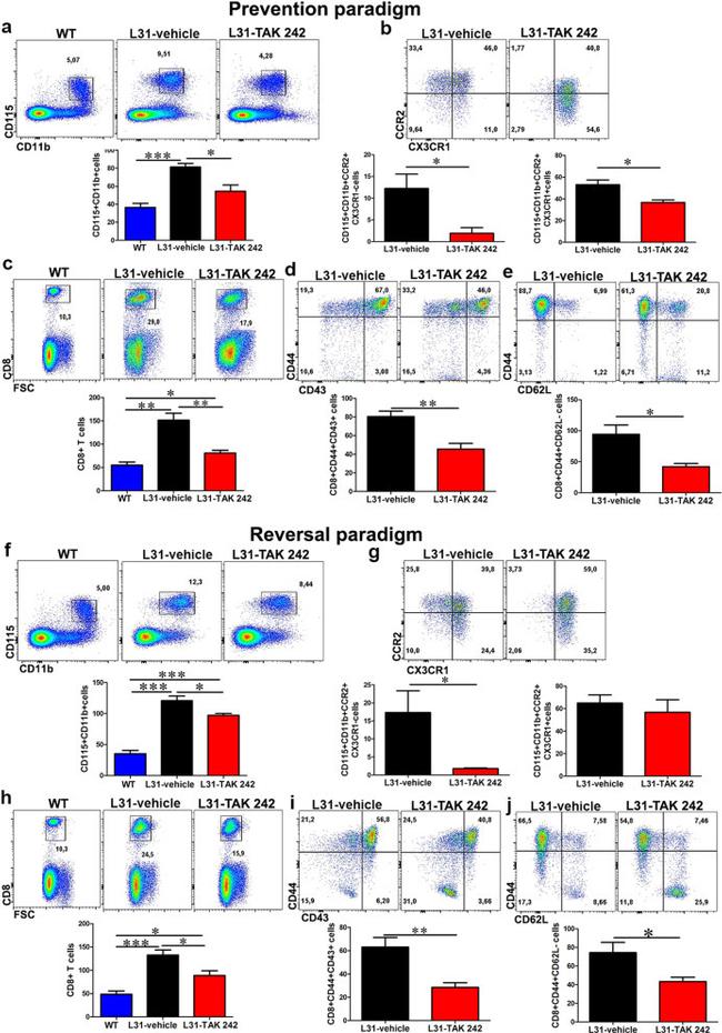 CD115 (c-fms) Antibody in Flow Cytometry (Flow)