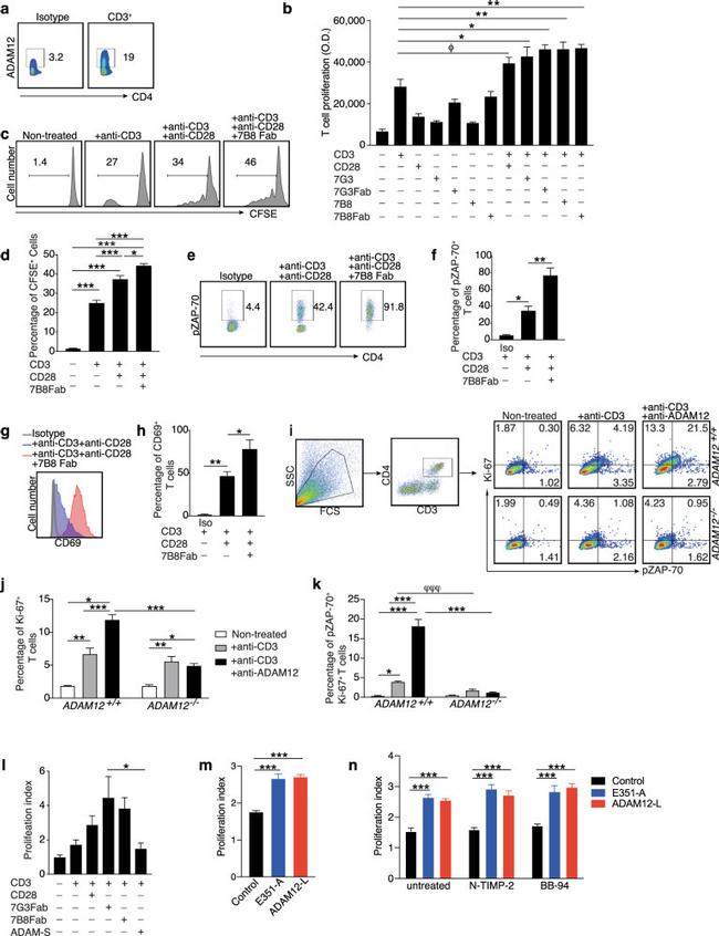 CD69 Antibody in Flow Cytometry (Flow)