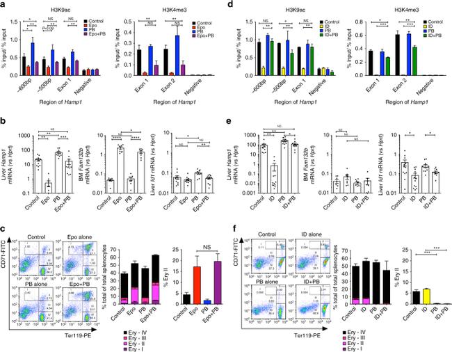 CD71 (Transferrin Receptor) Antibody in Flow Cytometry (Flow)