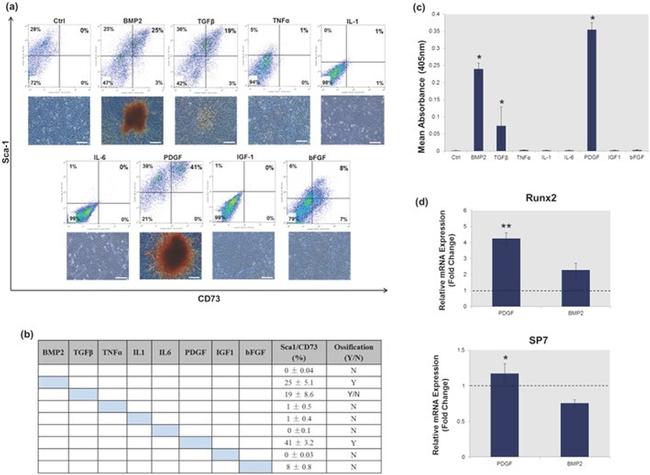 Ly-6A/E (Sca-1) Antibody in Flow Cytometry (Flow)