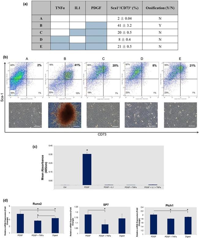 Ly-6A/E (Sca-1) Antibody in Flow Cytometry (Flow)