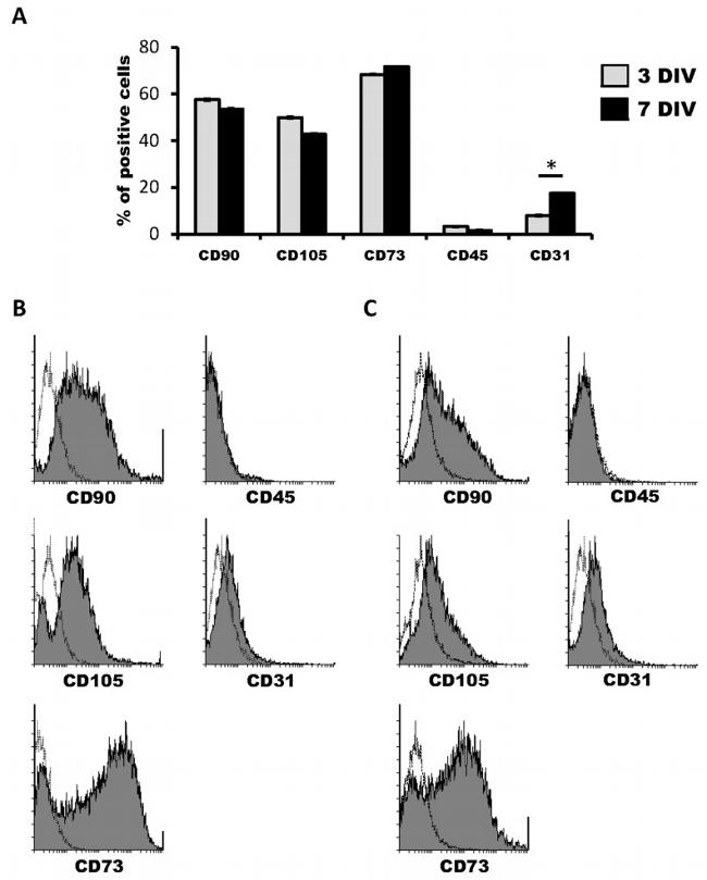 CD105 (Endoglin) Antibody in Flow Cytometry (Flow)