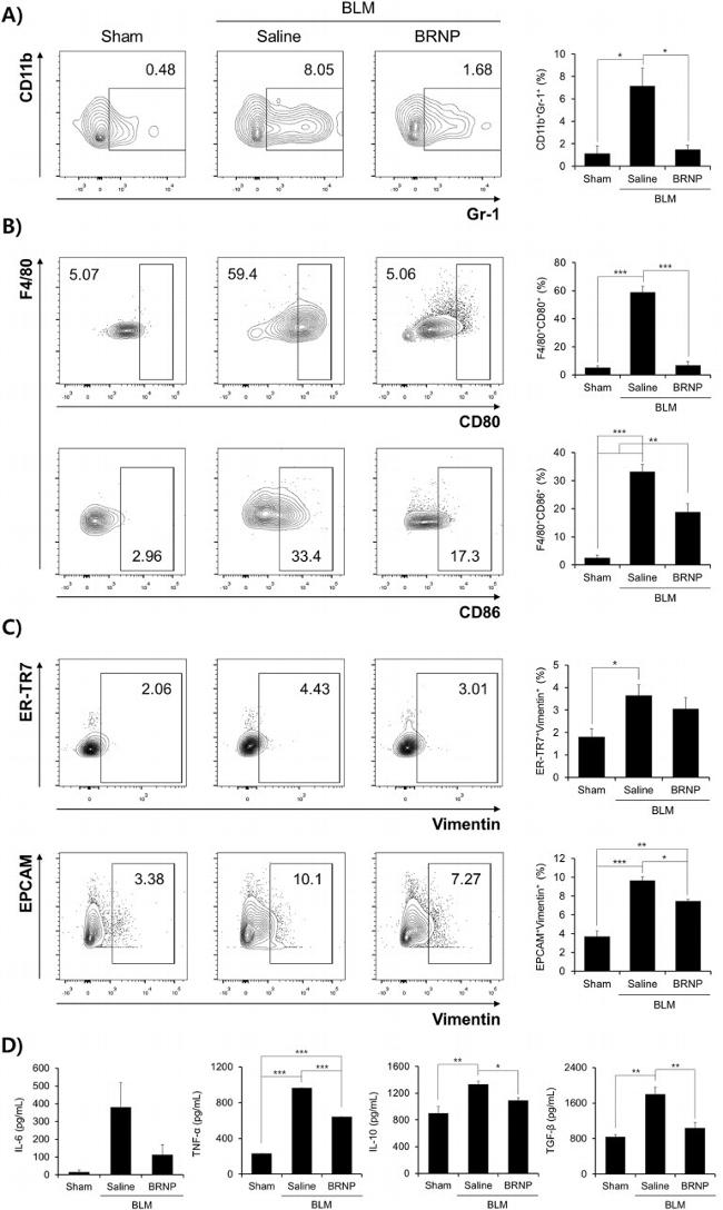 CD86 (B7-2) Antibody in Flow Cytometry (Flow)