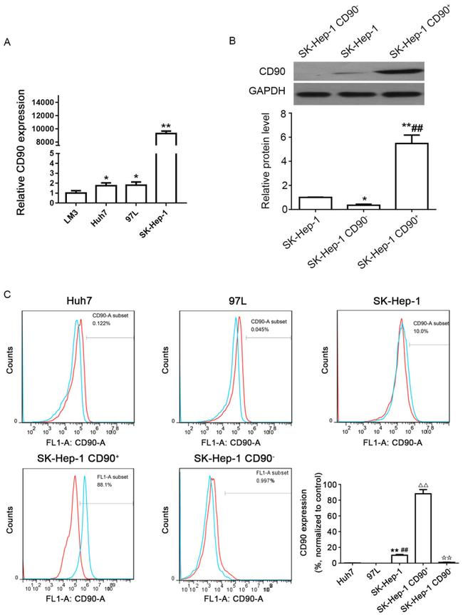 CD90 (Thy-1) Antibody in Flow Cytometry (Flow)