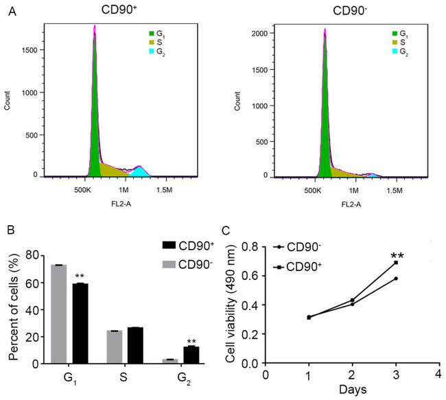 CD90 (Thy-1) Antibody in Flow Cytometry (Flow)