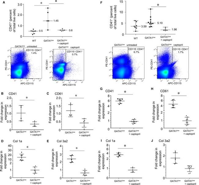 CD115 (c-fms) Antibody in Flow Cytometry (Flow)