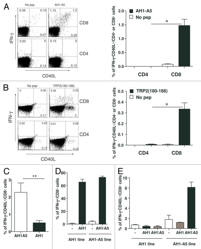 CD154 (CD40 Ligand) Antibody in Flow Cytometry (Flow)