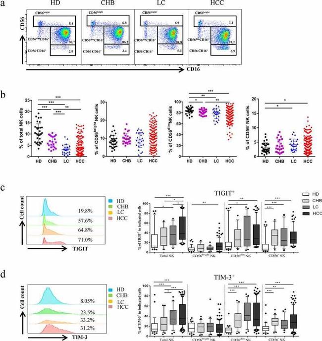 TIGIT Antibody in Flow Cytometry (Flow)