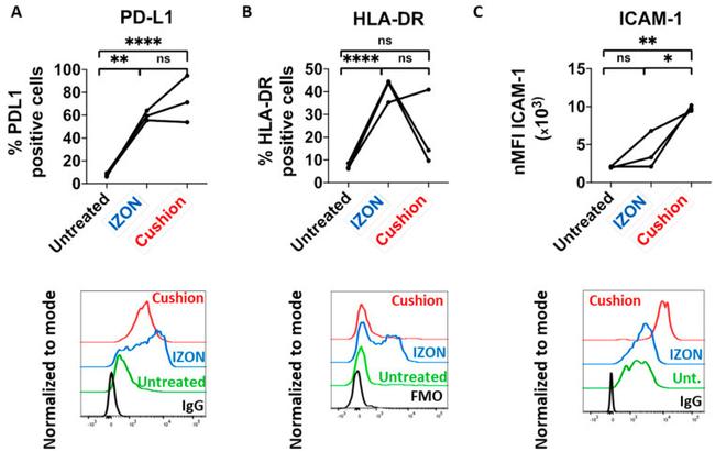 MHC Class II (I-A/I-E) Antibody in Flow Cytometry (Flow)