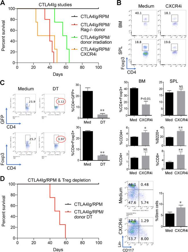 FOXP3 Antibody in Flow Cytometry (Flow)