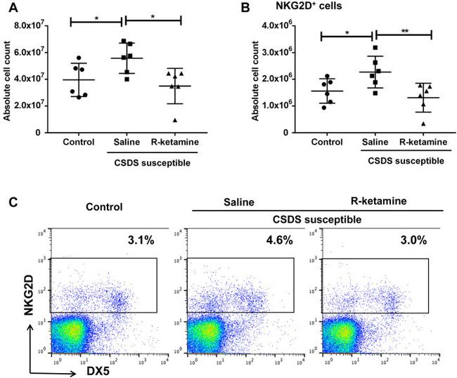 CD314 (NKG2D) Antibody in Flow Cytometry (Flow)