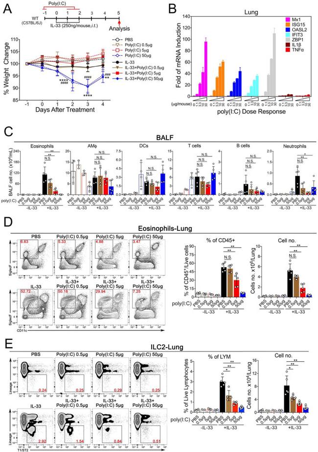 Ly-6G/Ly-6C Antibody in Flow Cytometry (Flow)