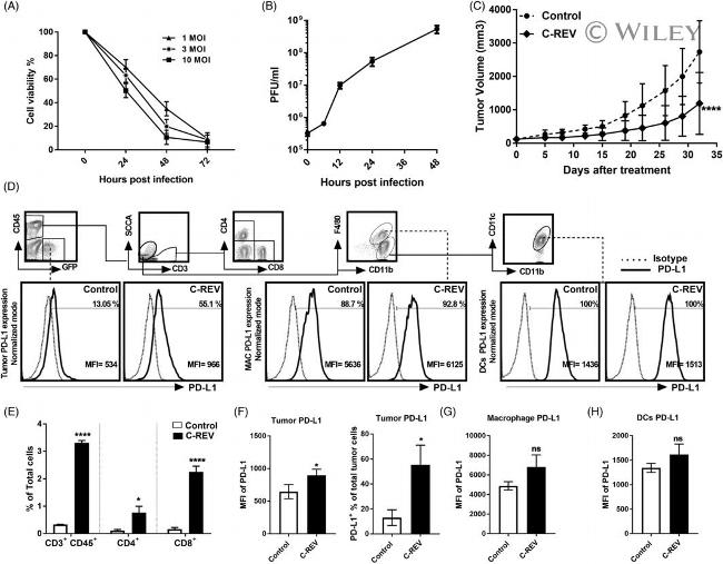 CD274 (PD-L1, B7-H1) Antibody in Flow Cytometry (Flow)