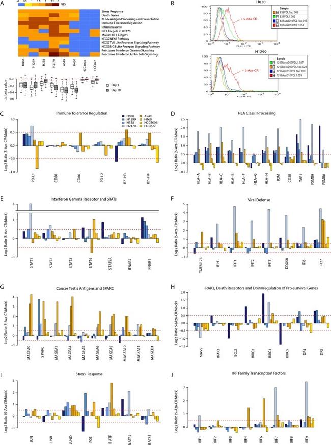 CD274 (PD-L1, B7-H1) Antibody in Flow Cytometry (Flow)