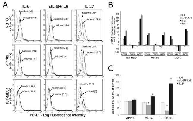 CD274 (PD-L1, B7-H1) Antibody in Flow Cytometry (Flow)