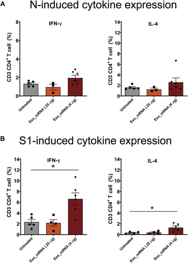 IL-4 Antibody in Flow Cytometry (Flow)