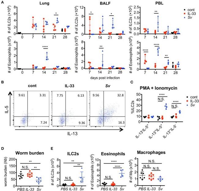 IL-13 Antibody in Flow Cytometry (Flow)