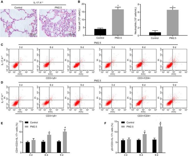 IL-17A Antibody in Flow Cytometry (Flow)