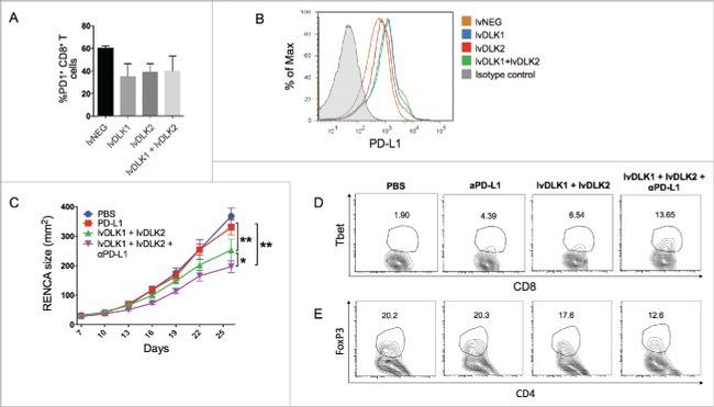 CD279 (PD-1) Antibody in Flow Cytometry (Flow)